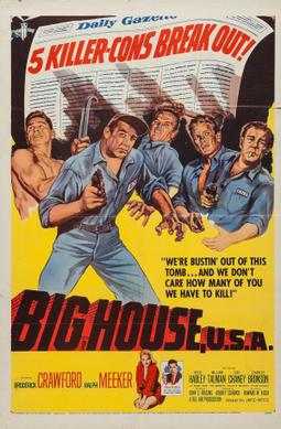 The Big House USA | Organizational Profile, Work & Jobs