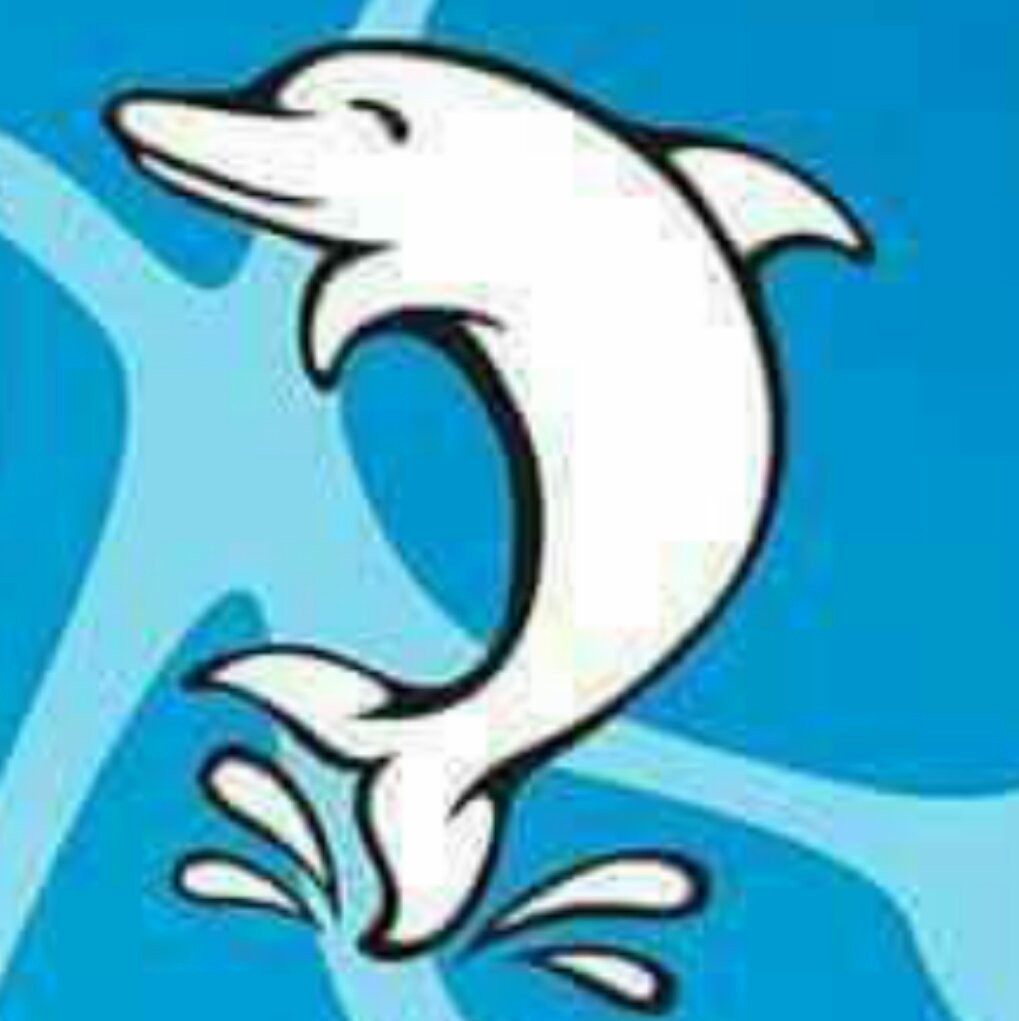 White Dolphin Swimming Club | Organizational Profile, Work & Jobs