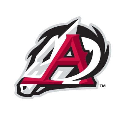 Arkansas Travelers Baseball | Organizational Profile, Work & Jobs