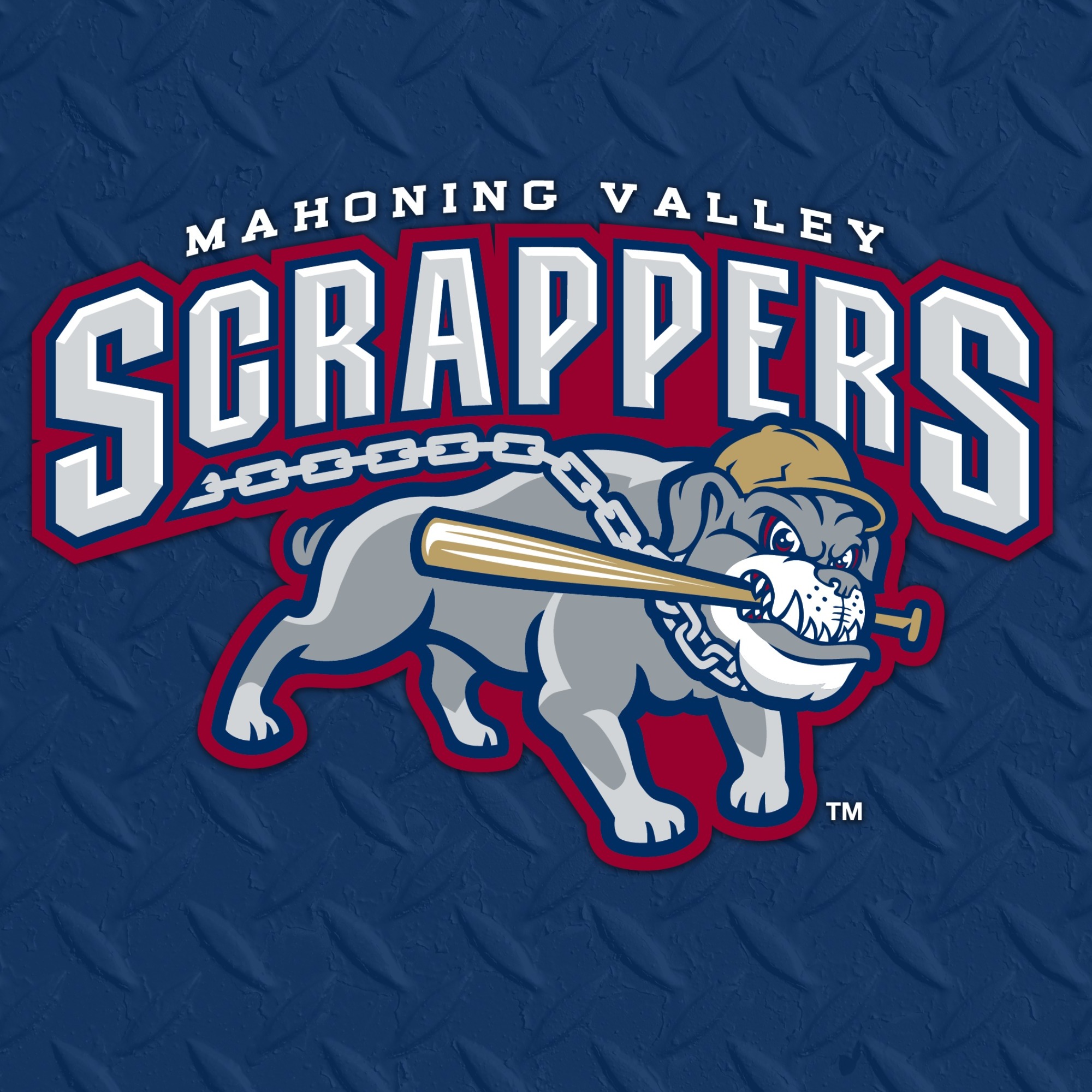 Mahoning Valley Scrappers | Organizational Profile, Work & Jobs