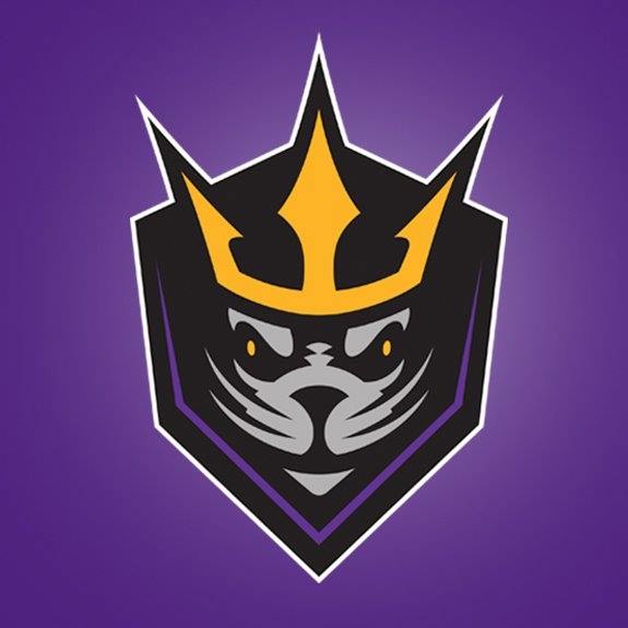 San Diego Seals | Organizational Profile, Work & Jobs