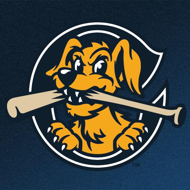 Charleston RiverDogs | Organizational Profile, Work & Jobs