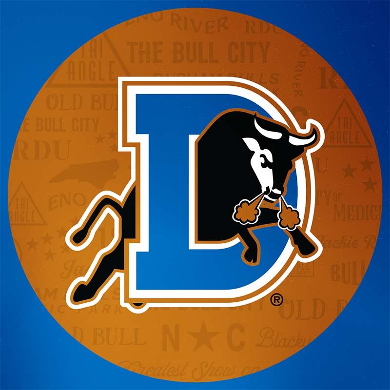 The Durham Bulls | Organizational Profile, Work & Jobs