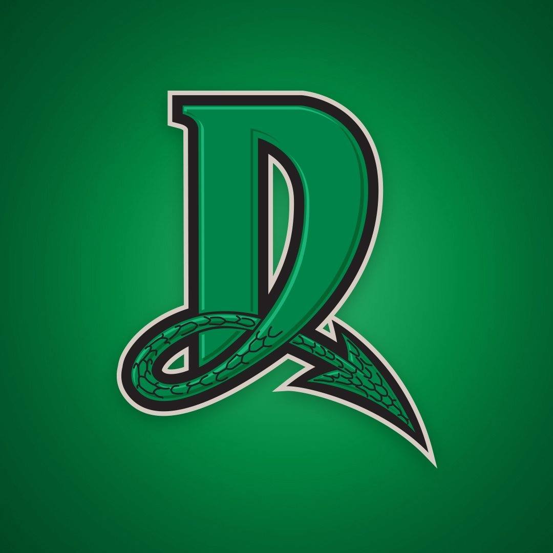 Dayton Dragons Professional | Organizational Profile, Work & Jobs