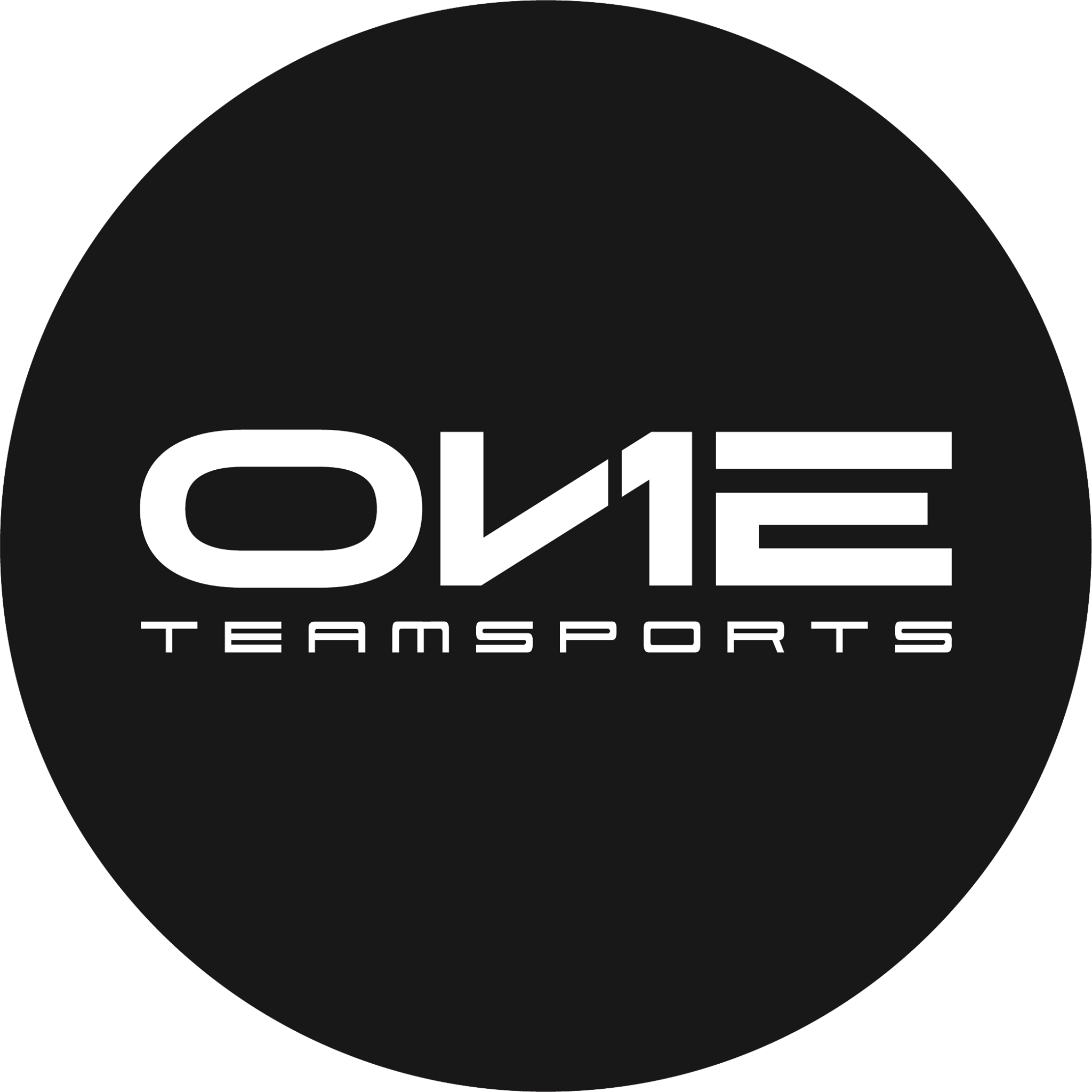 One Team Sports | Organizational Profile, Work & Jobs