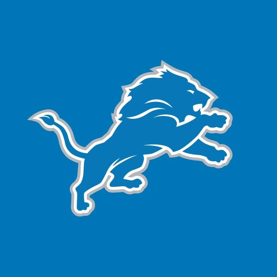 Detroit Lions | Organizational Profile, Work & Jobs