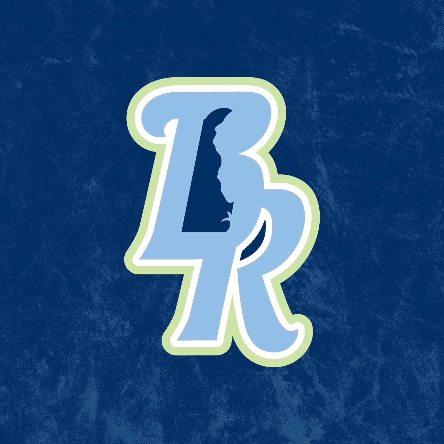 Wilmington Blue Rocks | Organizational Profile, Work & Jobs