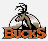 Bismarck Bucks | Organizational Profile, Work & Jobs