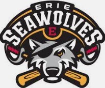 Erie SeaWolves | Organizational Profile, Work & Jobs