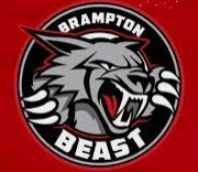 Brampton Beast Hockey Club | Organizational Profile, Work & Jobs