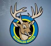 Waterloo Bucks Baseball | Organizational Profile, Work & Jobs