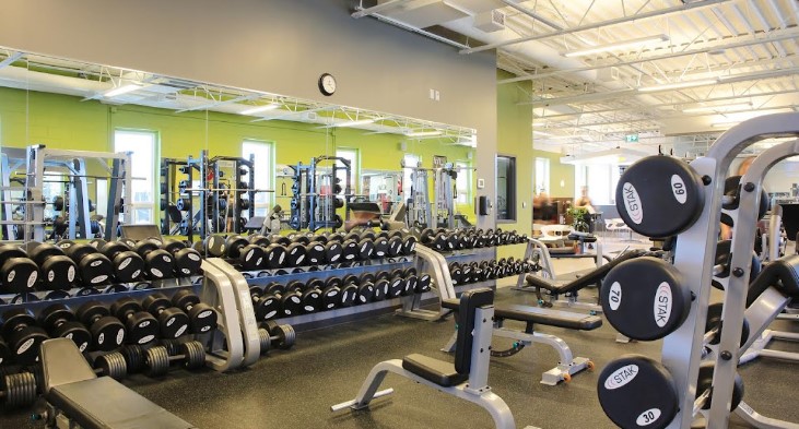Forest City Fitness | Organizational Profile, Work & Jobs