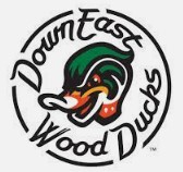 Down East Wood Ducks | Organizational Profile, Work & Jobs
