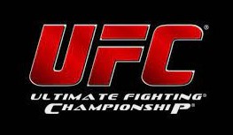 Ultimate Fighting Championship (UFC) | Organizational Profile, Work & Jobs