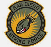 San Diego Strike Force | Organizational Profile, Work & Jobs