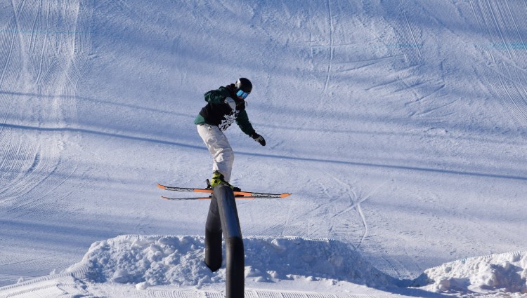 Freestyle Ontario | Organizational Profile, Work & Jobs