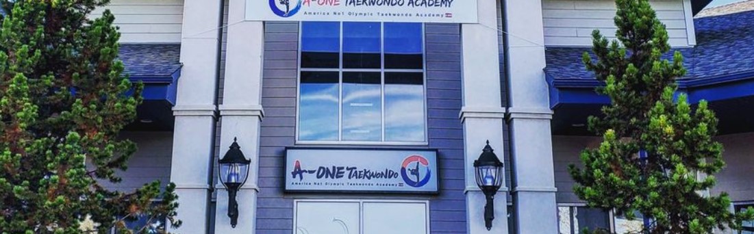 A-One Taekwondo | Organizational Profile, Work & Jobs