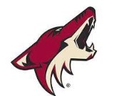 Arizona Coyotes | Organizational Profile, Work & Jobs