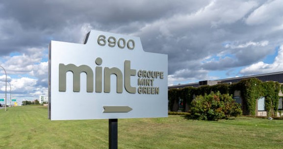 The Mint Green Group | Organizational Profile, Work & Jobs