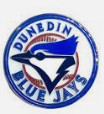 Dunedin Blue Jays | Organizational Profile, Work & Jobs