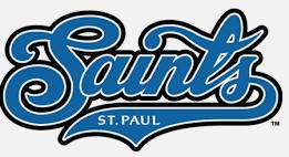 St Paul Saints | Organizational Profile, Work & Jobs