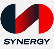 Synergy Sports | Organizational Profile, Work & Jobs