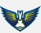 Dallas Wings | Organizational Profile, Work & Jobs