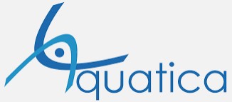Aquatica Synchro Club | Organizational Profile, Work & Jobs