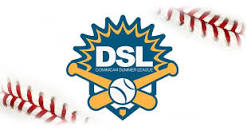 Dominican Summer League | Organizational Profile, Work & Jobs