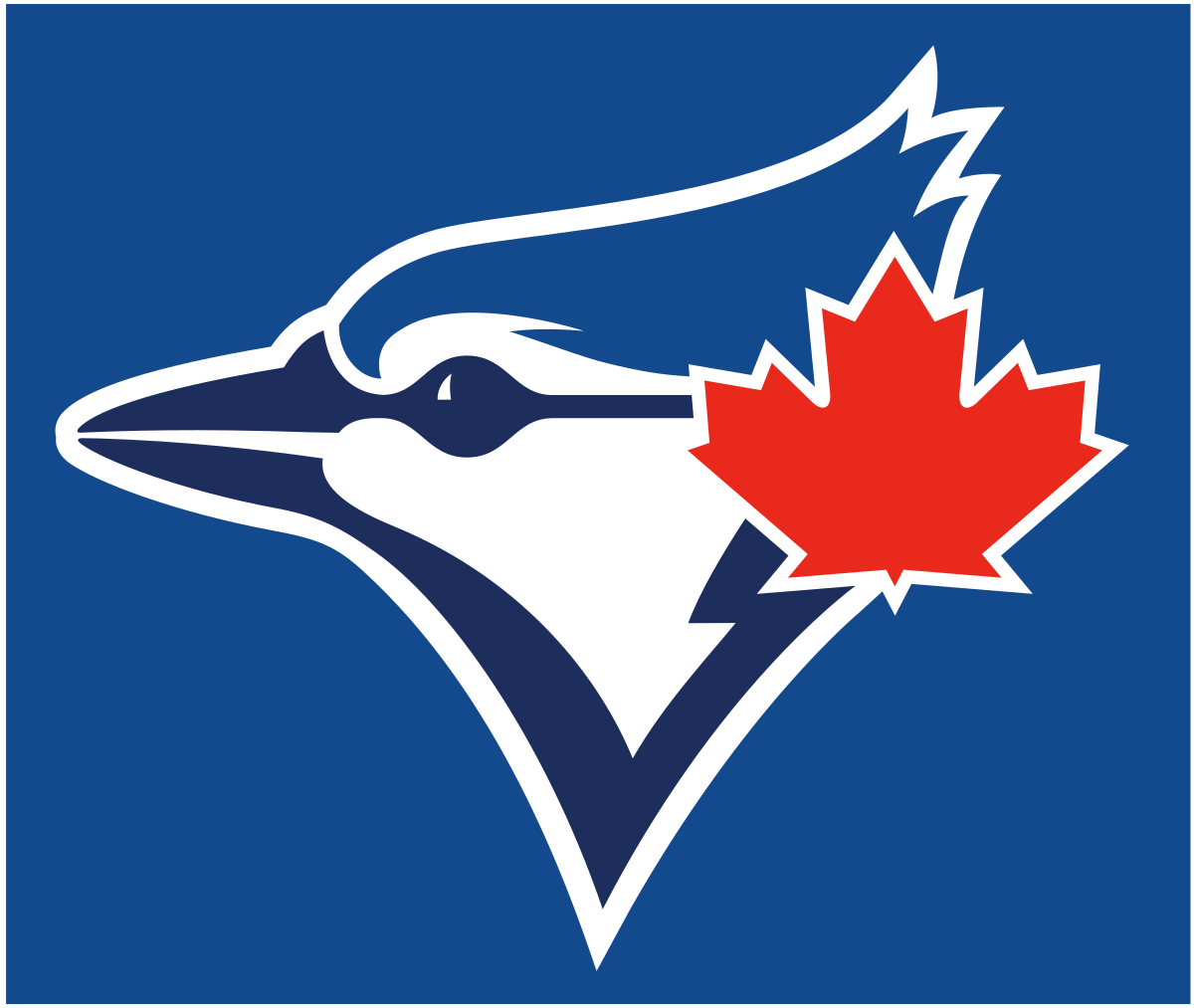 Toronto Blue Jays | Organizational Profile, Work & Jobs