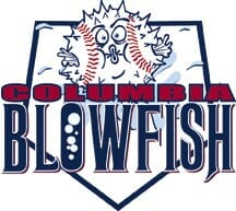 Shanahan & Company Sports Management llc -Blowfish Baseball Club | Organizational Profile, Work & Jobs