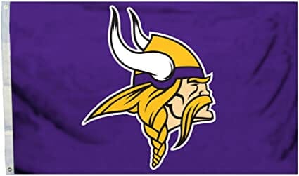Minnesota Vikings | Organizational Profile, Work & Jobs