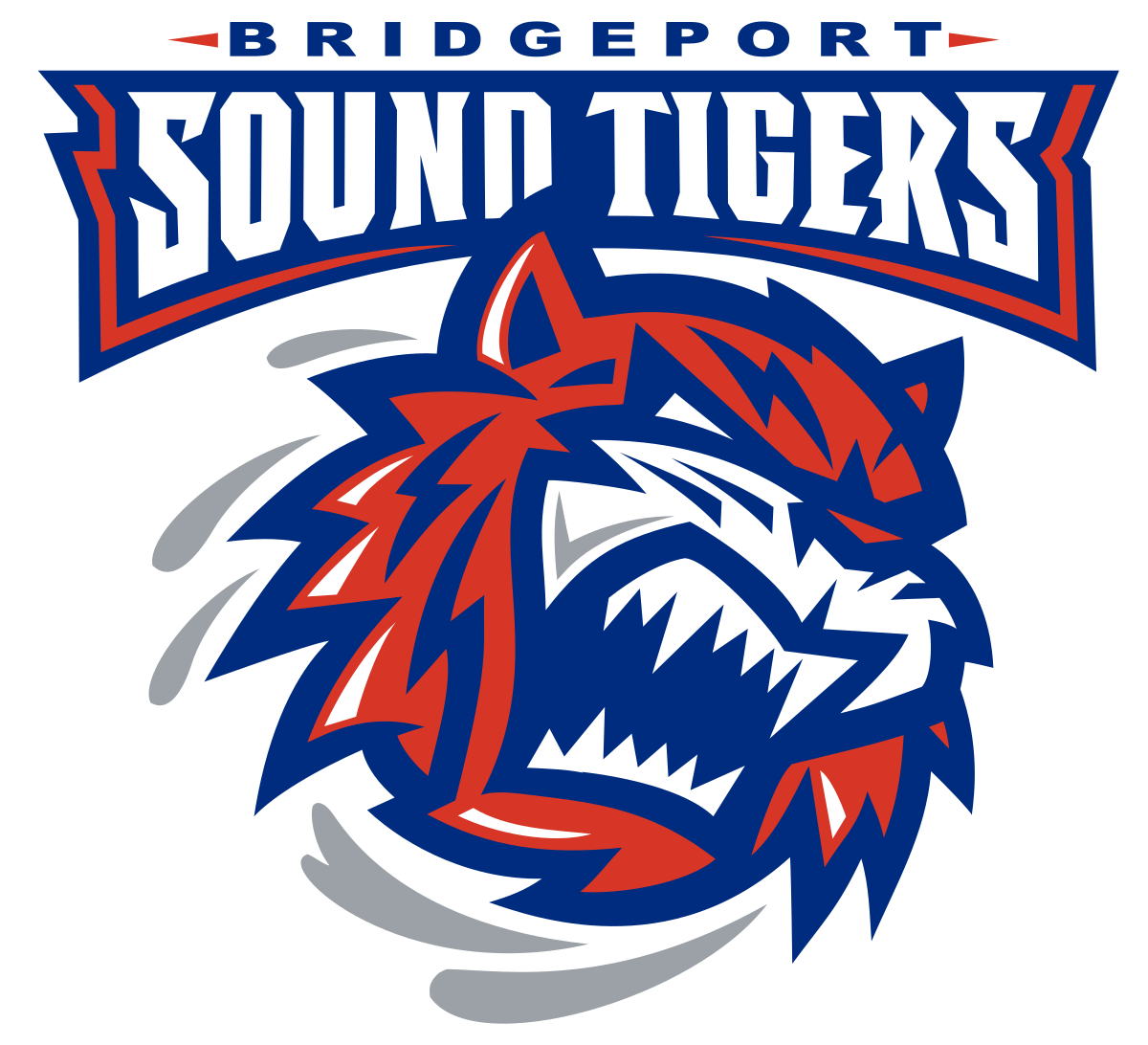 Bridgeport Sound Tigers | Organizational Profile, Work & Jobs