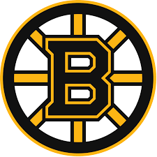 Boston Bruins | Organizational Profile, Work & Jobs