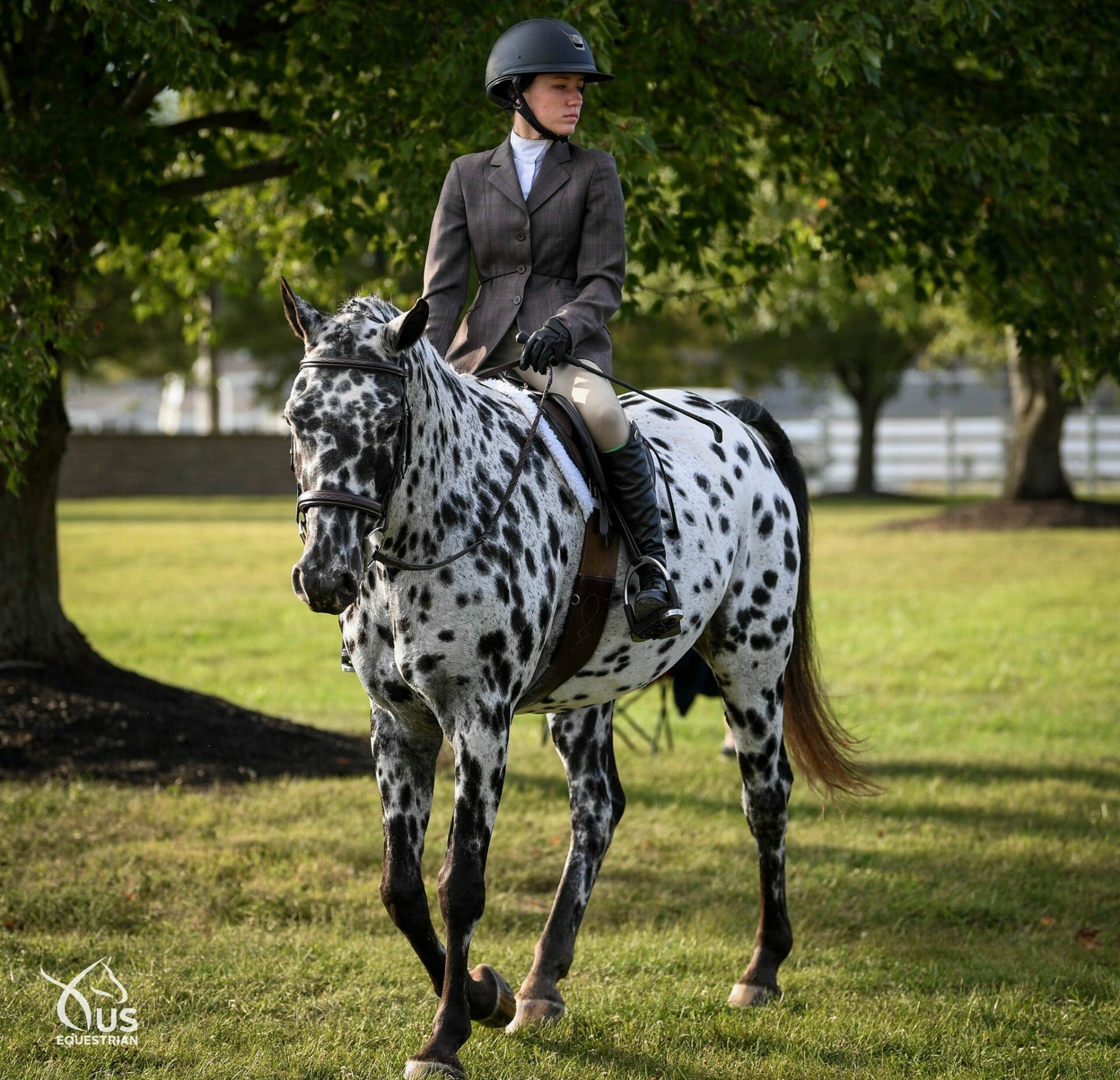 Sport Companies In The Lexington, KY, USA  - United States Equestrian Federation