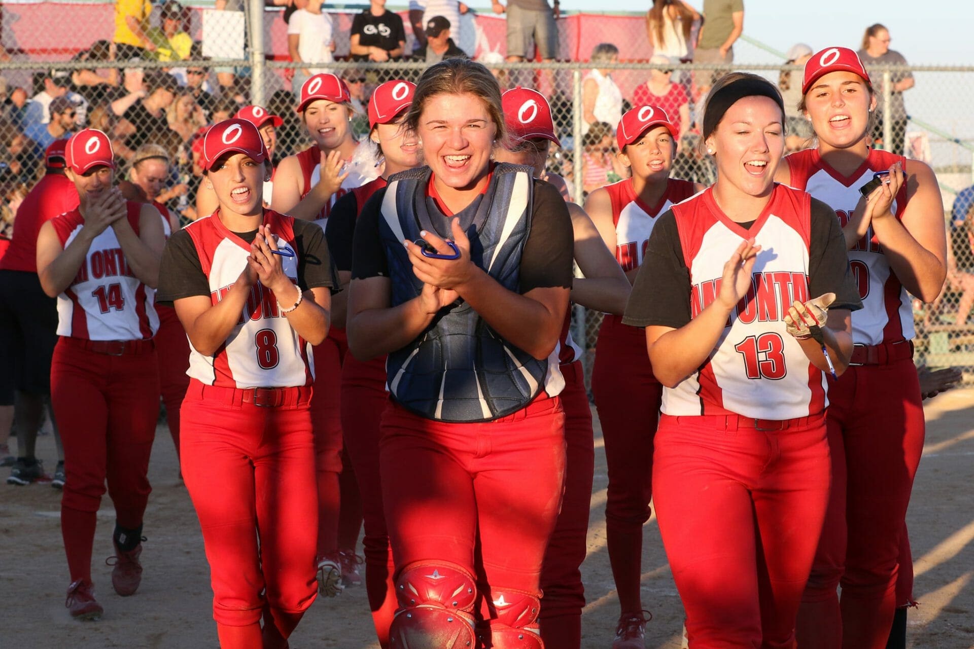 Softball Ontario | Organizational Profile, Work & Jobs