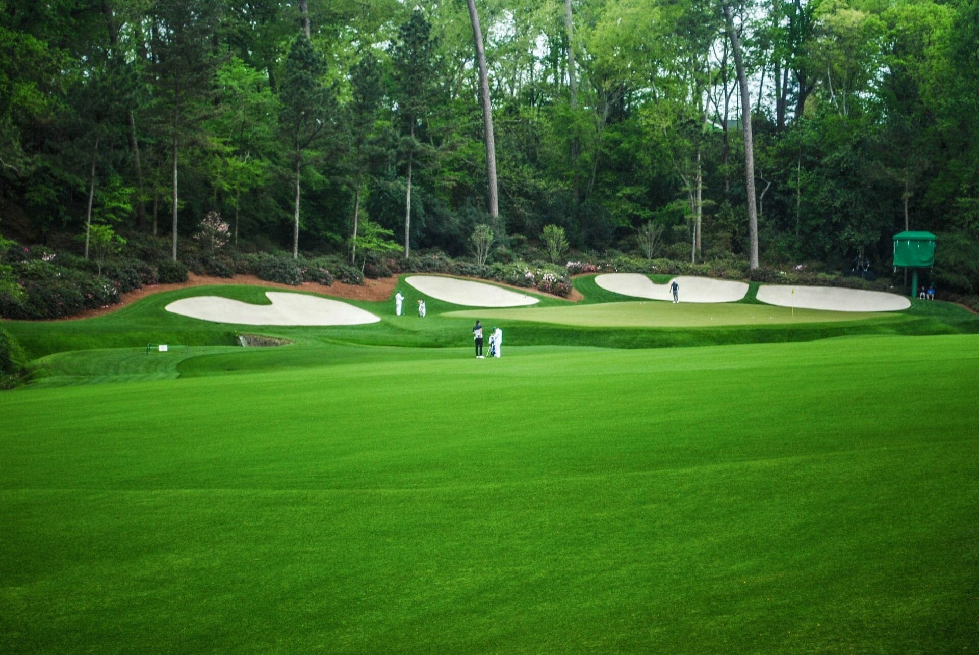 Augusta National Golf Club | Organizational Profile, Work & Jobs