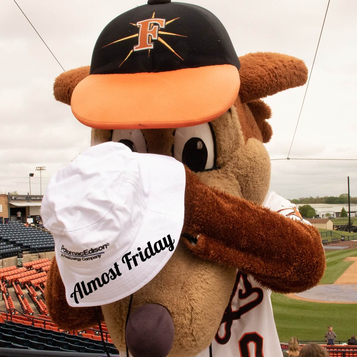 Jobs In Sport In USA - Office Assistant | Frederick Keys